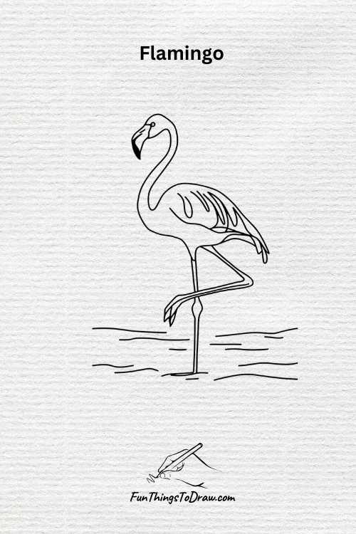 Fun Things To Draw When Bored (flamingo drawing)