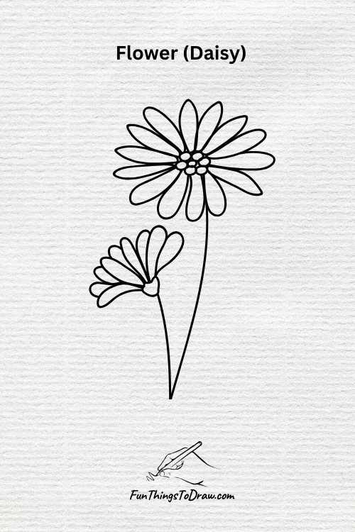 Daisy flower drawing (Fun Things To Draw When Bored )
