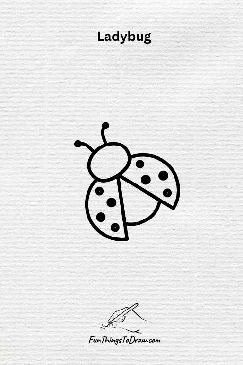  ladybug drawing