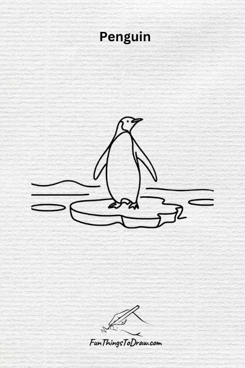 penguin drawing