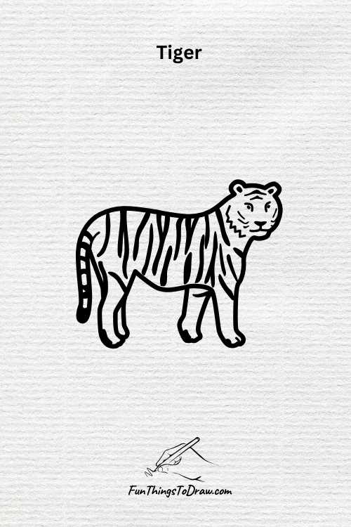 Tiger drawing (fun things to draw when bored)