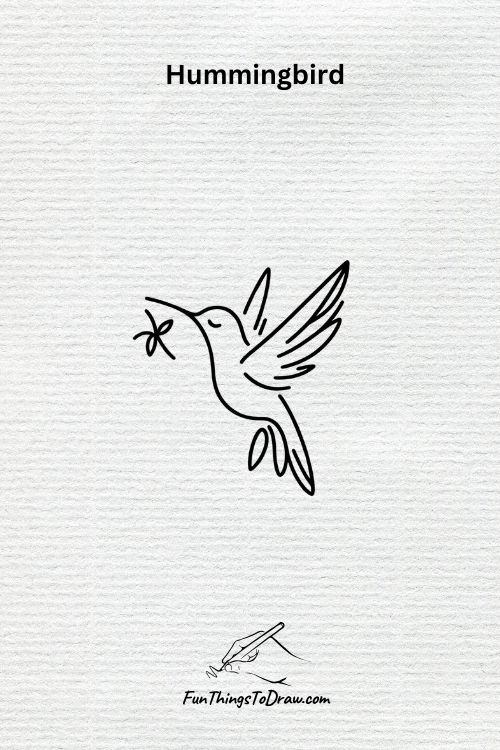 cute humming bird drawing