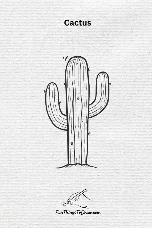 Cactus drawing