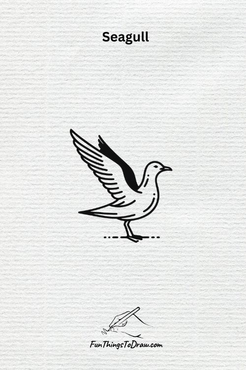 cute seagull drawing