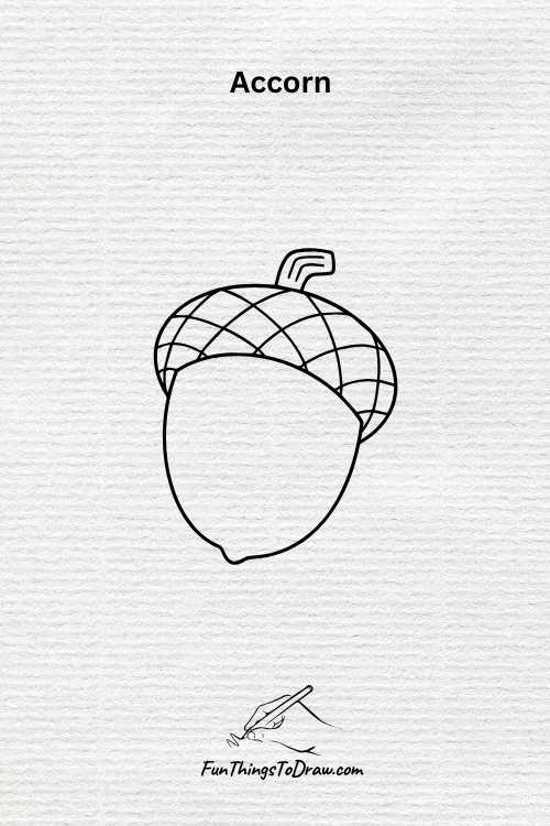 Acorn drawing (fun things to draw when bored)