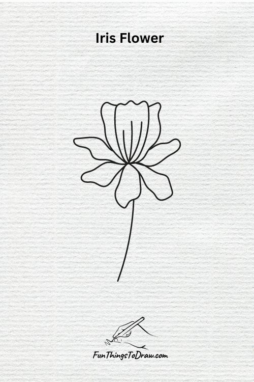 An iris with its distinctive shape drawing