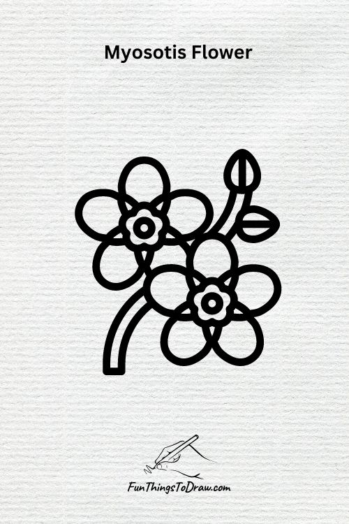 Myosotis Flower Drawing