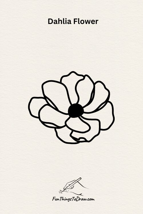 Dahlia Flower drawing