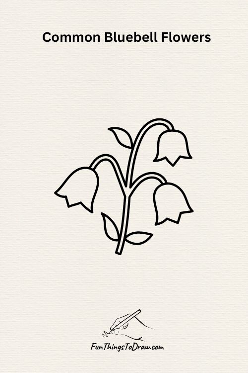 Common Bluebells Flowers drawing