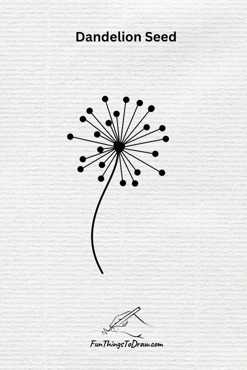 A Dandelion Seed drawing