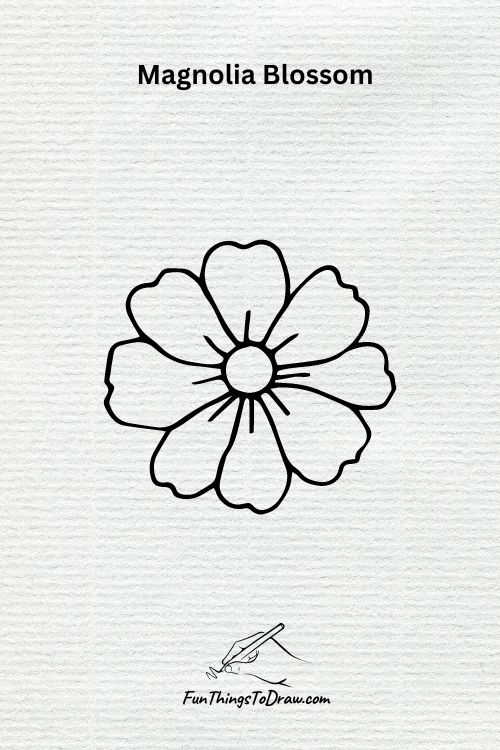 A Magnolia Blossom drawing