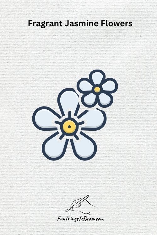 Fragrant Jasmine Flowers drawing