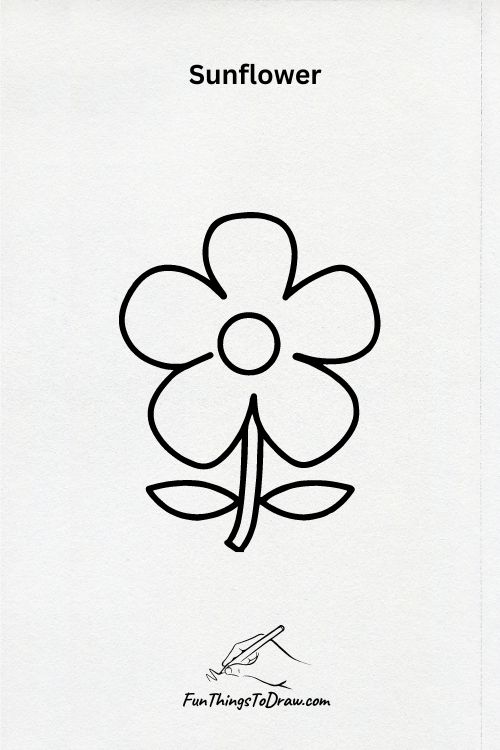 A Sunflower drawing