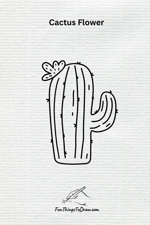 A Cactus Flower in Bloom drawing