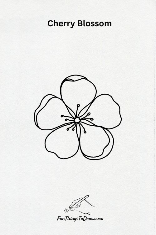 Cherry Blossom line drawing