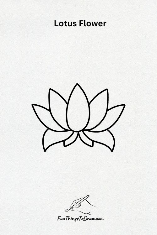 A Lotus Flower drawing