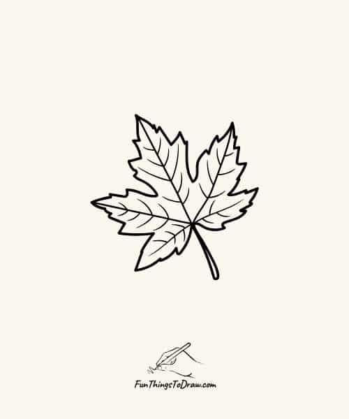 Maple leaf
