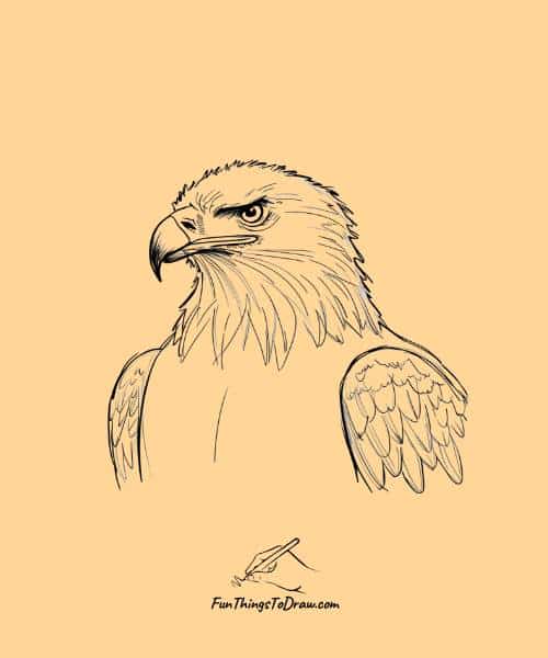Wise old eagle with gentle expression
