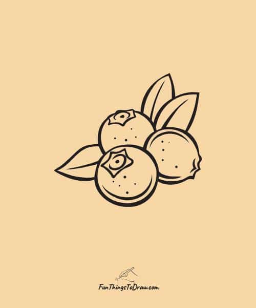 Drawing of Berries