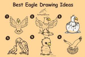 Best Cute Eagle Drawing Ideas