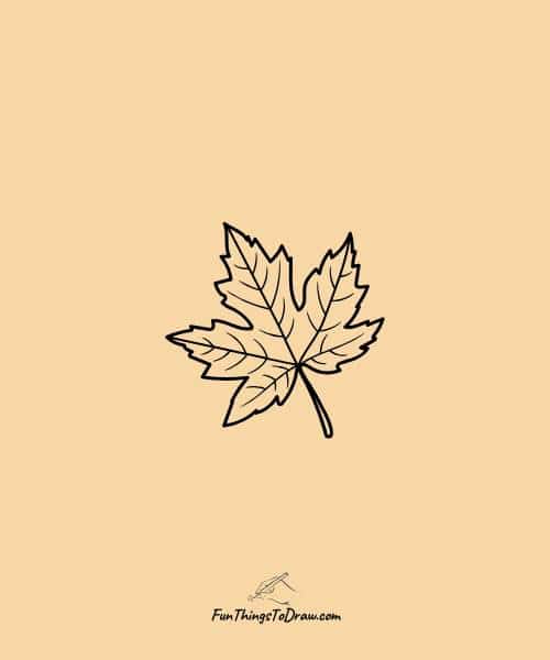 thanksgiving drawing idea of Maple leaf