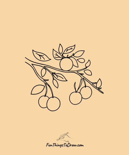 Orange Tree with Oranges Hanging from the Branches Drawing