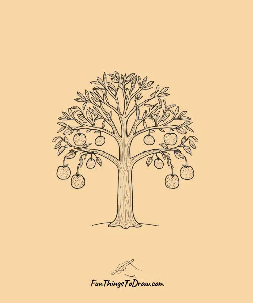 Orange Tree with Oranges Hanging from the Branches Drawing