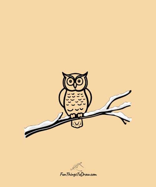 Owl on a snowy branch