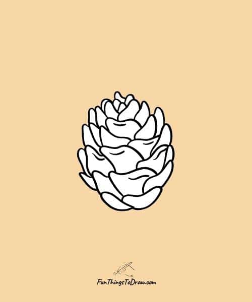 Pine cone drawing