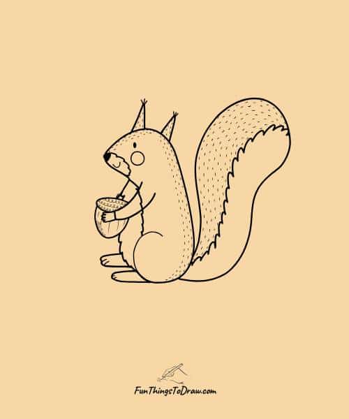 Squirrel with acorn drawing