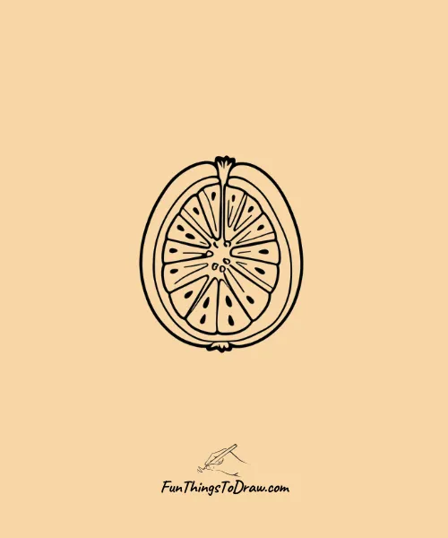 Sweet Papaya Slice Drawing