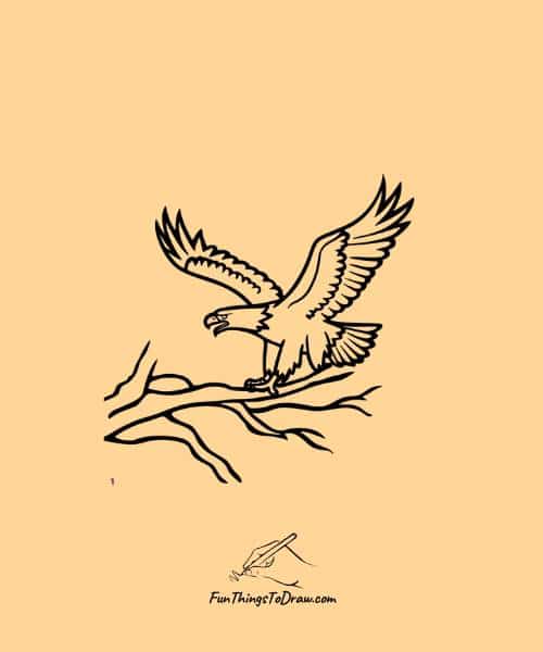 eagle on a branch of a tree