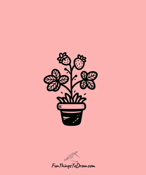 strawberry bush Drawing