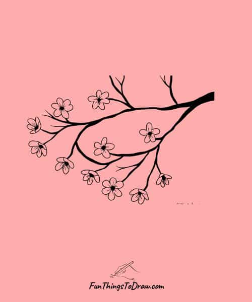 Cherry blossoms drawing