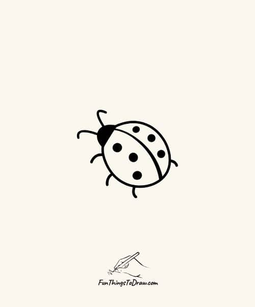 Drawing of Ladybug