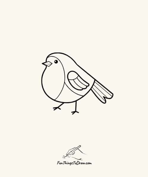 Robin drawing