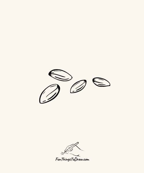 Seed drawing