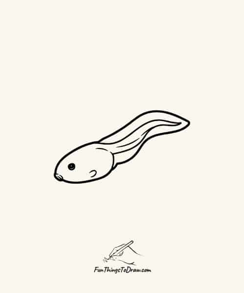 Tadpole drawing