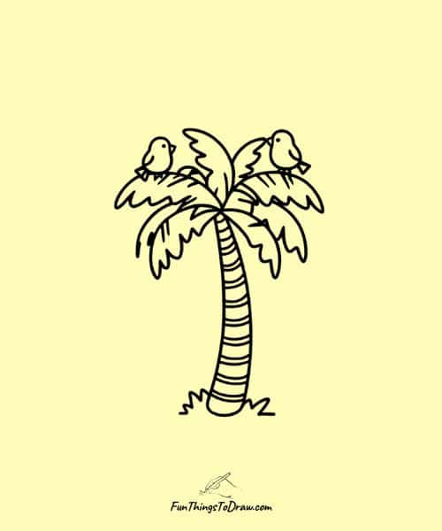 Palm tree with birds: Palm Tree Drawings
