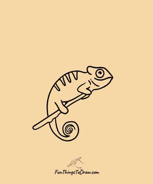 Chameleon Drawing