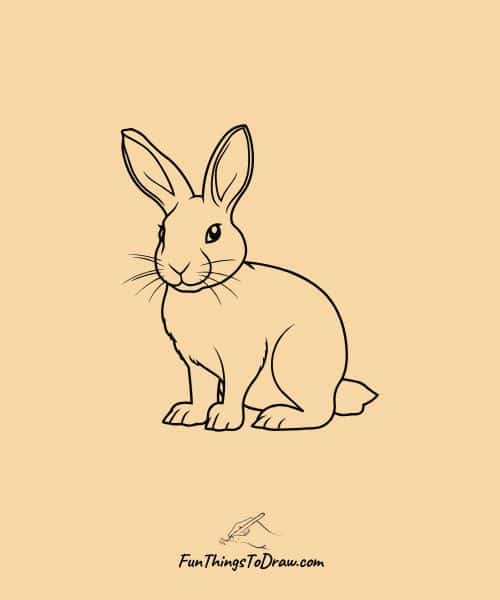 Cute Rabbit Drawing
