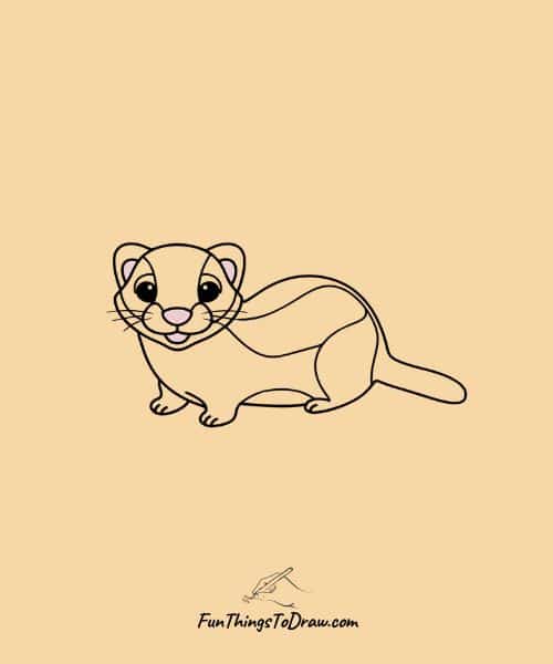 Ferret Drawing