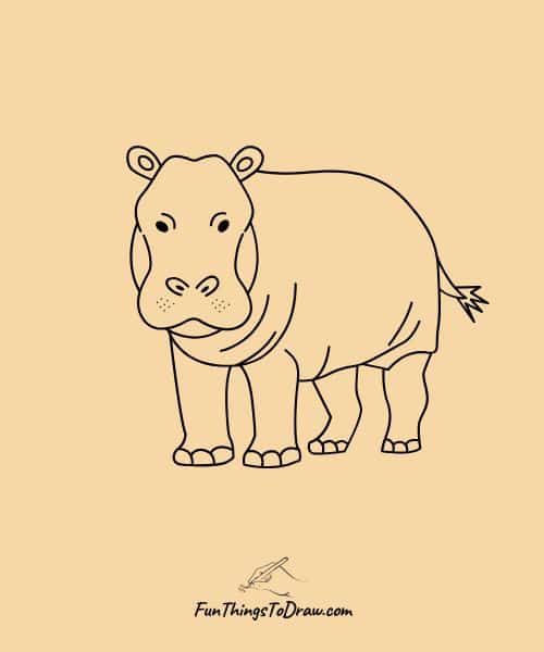Hippo Drawing