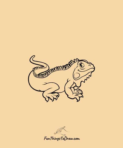 Iguana Drawing
