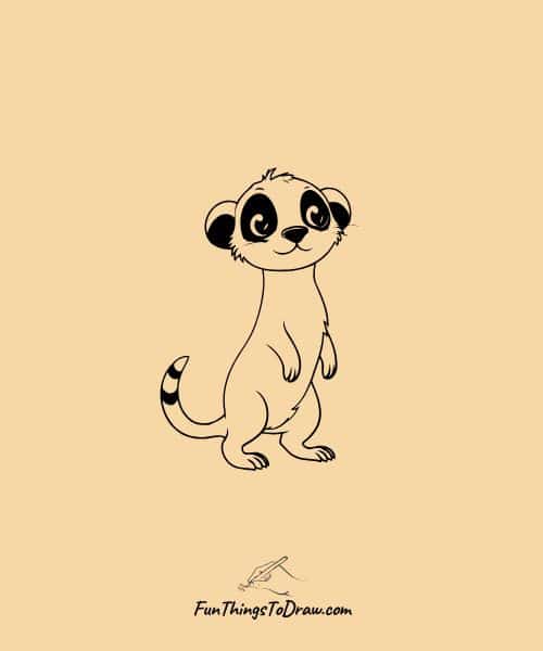 Meerkat standing