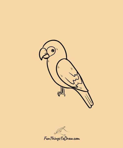 Parrot Drawing