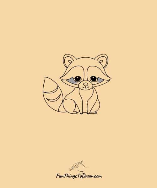Raccoon  Drawing