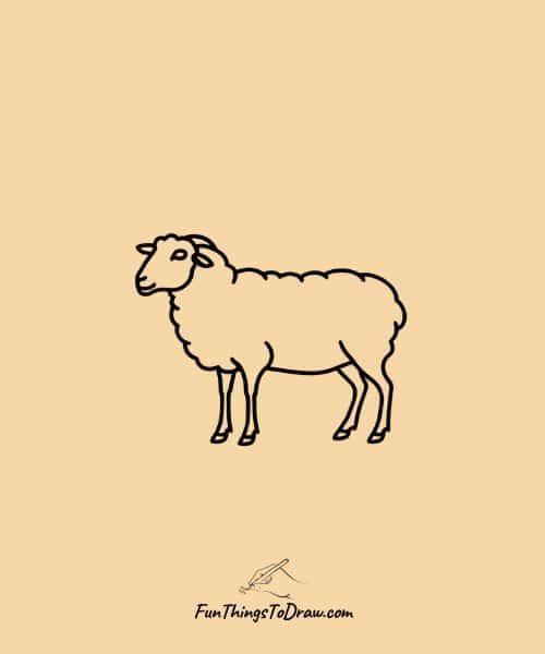 Sheep Drawing
