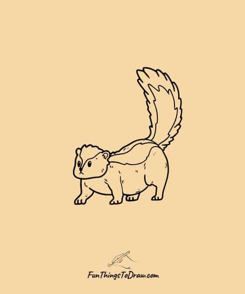 Skunk  drawing