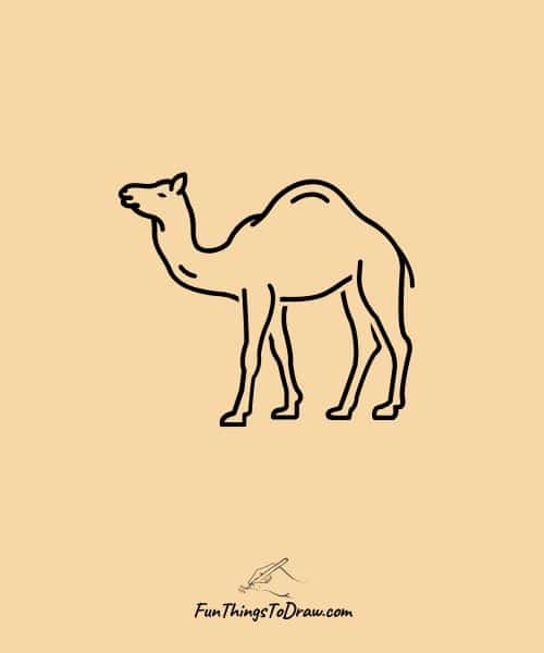 camel drawing